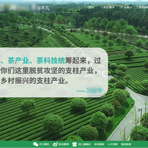 茶叶网站建设湘*茶业集团有限公司H5网站设计案例作品