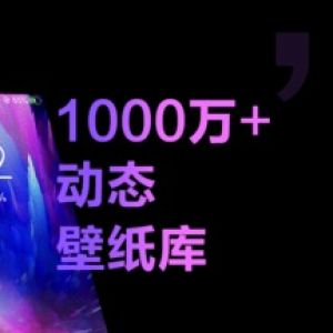 手机壁纸大全-动态壁纸APP定制开发项目分析